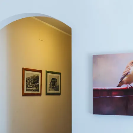 I Cardilli Di San Lorenzo