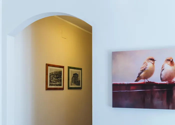 I Cardilli Di San Lorenzo