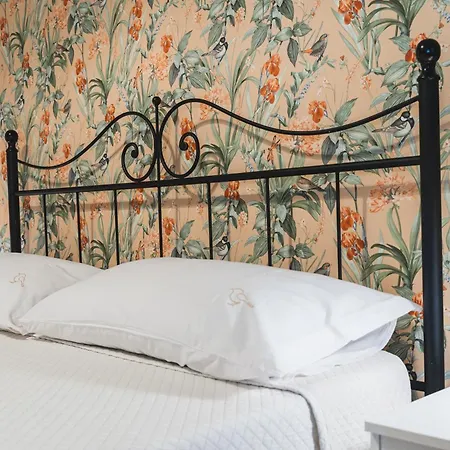 I Cardilli Di San Lorenzo